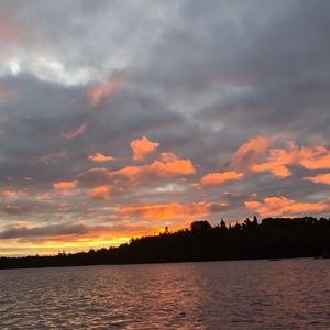 Meet your Posher, Avery